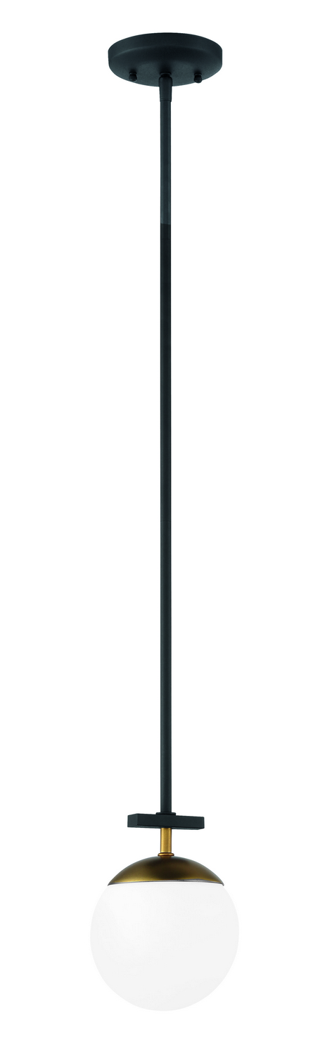 1029231.jpg